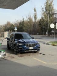 возможен обмен на дом: BMW X5: 2019 г., 3 л, Автомат, Бензин — 15