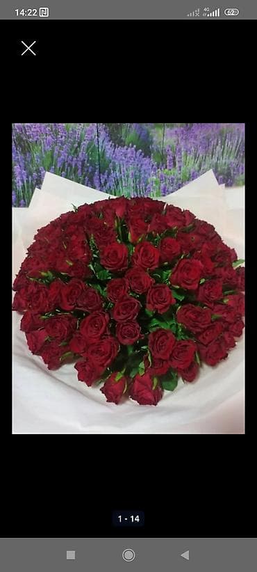 пионы букет: 51роза букеты от 1900сом Акция‼️‼️‼️24/7 — 1
