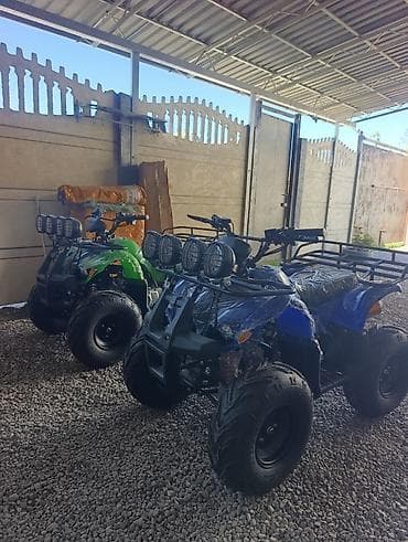 ktm мотоциклы: Квадроцикл Бензин, 130 куб. см, Детский — 1