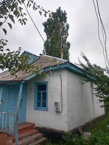 Жилой дом с придомовым участком и хозяйственными постройками. Иссык — 4