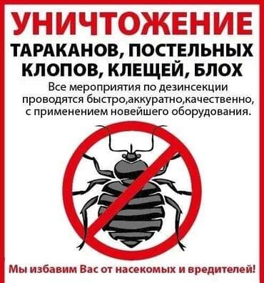 уборка дома ош: Дезинфекция, дезинсекция, | Тараканы, Вирусы, микробы, Муравьи, | Подвал, погреб, Офисы, Транспорт — 1