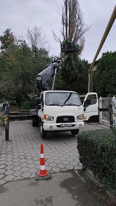 ху: Стрела 28 м, 300 т — 1