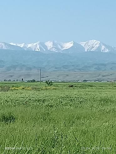 30000 соток Для бизнеса, Электричество, Водопровод