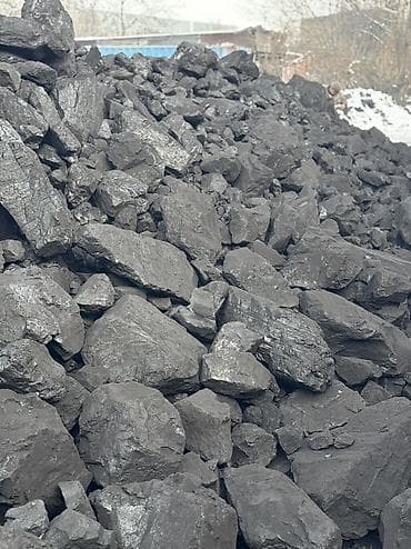 баран живой: Каменный уголь фракции «кулак/крупный орех» - Тип: каменный уголь в — 6