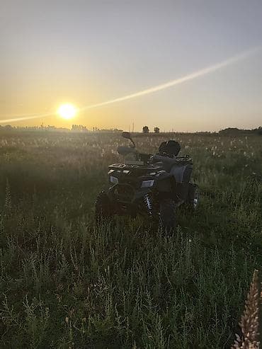off roud: Квадроцикл Бензин, 250 куб. см, Взрослый — 4