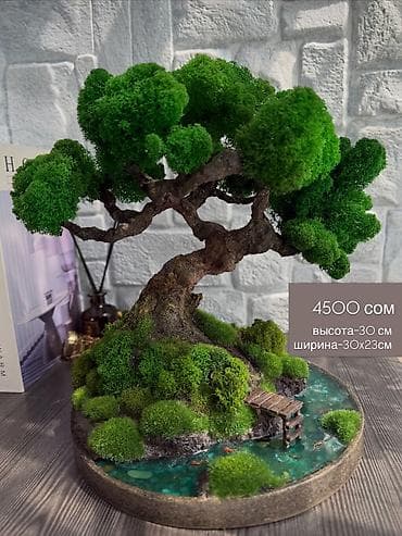 Миниатюрные ДЕРЕВЬЯ Бонсай из стабилизированного мха — это стильная at lalafo.kg Миниатюрные ДЕРЕВЬЯ Бонсай из стабилизированного мха — это стильная
