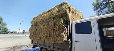 Кому надо тюки разных видов заказывайте найдем и доставим цены разные