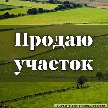 8 соток
