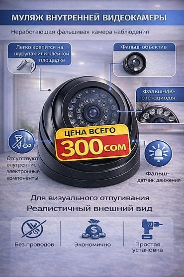 реалист: 🔒 Муляж внутренней видеокамеры — простой и доступный способ создать — 1