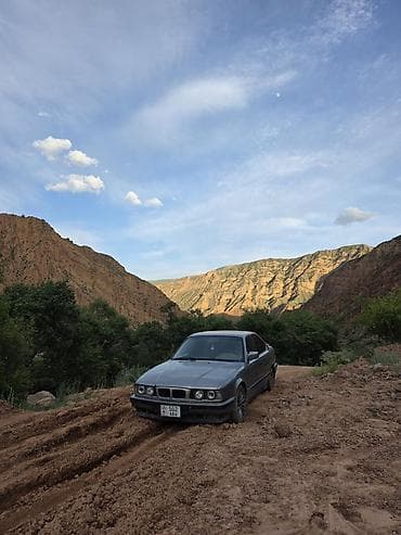 bew e39: BMW 5 series: 1993 г., Седан — 3