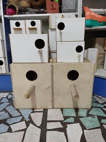 Үй жаныбарлары: Гнезда для птиц и попугаев — 1