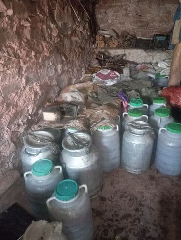 продаю мёд: Сары-Камыш Тержайлак жайлоосунун тоо балы сатылат. Оптомго. Таза бышып — 1