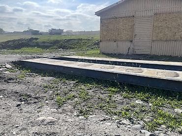 весы тонник: Электронные Автовесы 10 тонна — 2