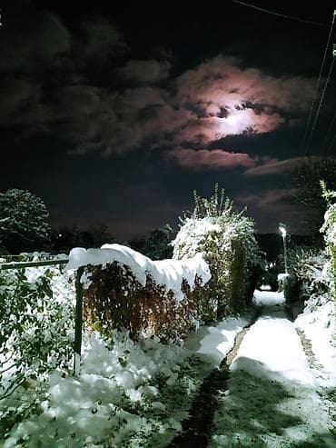 Вывоз строй мусора — 2