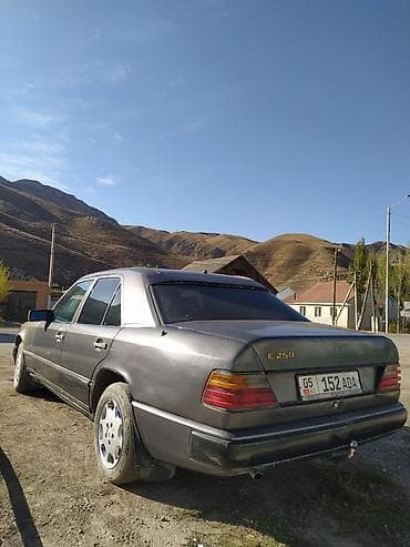 Продажа авто: Mercedes-Benz W124: 1988 г., 2.5 л, Механика, Дизель, Седан — 2