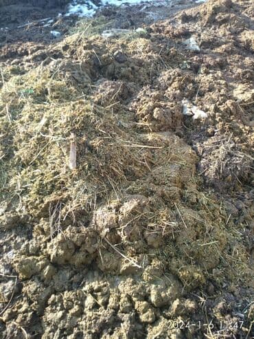 трава для животных: Перегной, навоз — 2