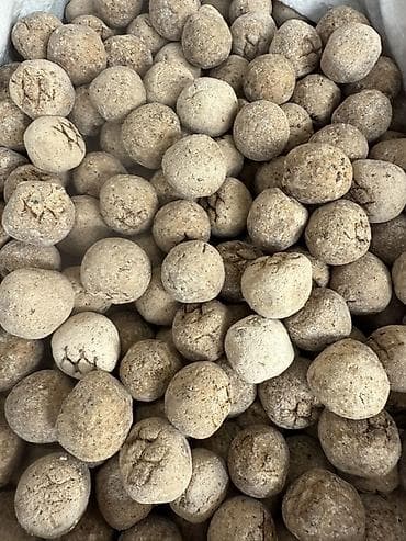 Мясная продукция: Сары май чөбөгө куруттарды сатамын табыгый кошулмасы жок Сары май 900 — 7