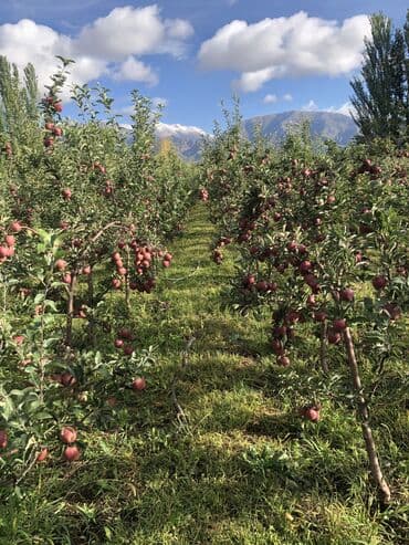 участок с выходом на речку: 2040 соток, Для строительства, Красная книга — 8