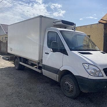 mersedes bens sprinter холодильник: Грузовик, Mercedes-Benz, Стандарт — 3