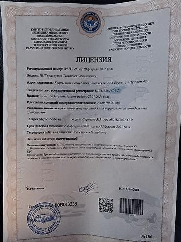 vip bus: Пассажирский микроавтобус VIP-класса на базе Mercedes-Benz Sprinter — 5