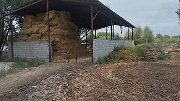 земля ивановка: 20200 соток, Действующий, Электричество, Холодная вода — 9