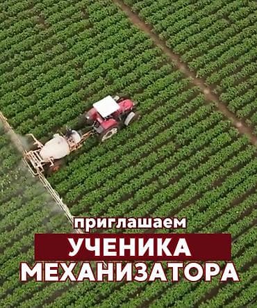 айти работа с обучением: Вакансия: Ученик механизатора Обязанности: - Работа с — 1