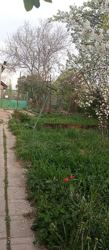 участки дома бишкек новопокровка: 12 соток, Для сельского хозяйства, Красная книга — 9