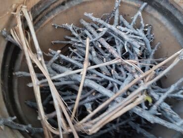 купить семена клевера кормового: Дрова Самовывоз — 4