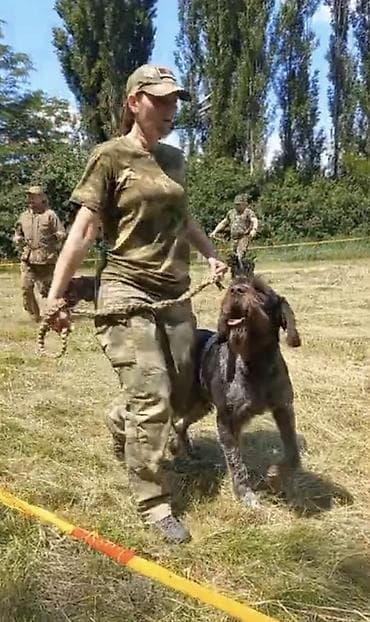 собаки бишкек: ВЯЗКА ВЯЗКА Читайте Внимательно !!! Предлагается Кабель Породы — 9