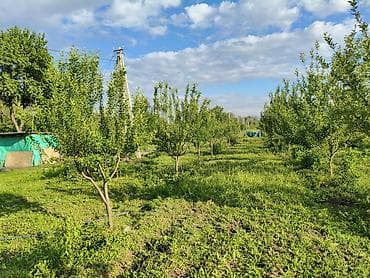 сдаю кафе в бишкеке: 100 соток, Для бизнеса, Договор купли-продажи — 1