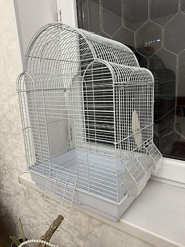 декоративные крысы: Клетка для птиц с купольной крышей, белая. - Материал: металлическая — 2