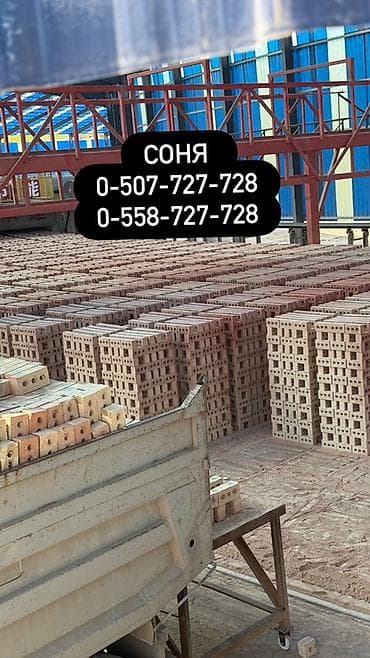 Соня кирпич