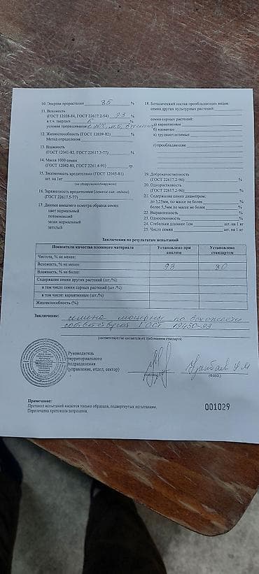 семена капусты в бишкеке: ОПТОМ ОПТОМ Беде уругу Джеа Багира сорттору. 24/7 на связи — 7