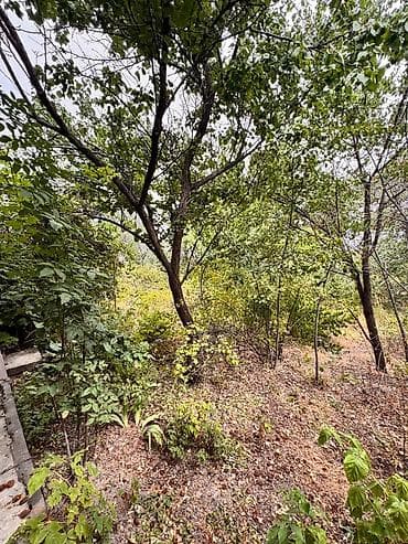 Сниму дом: Продается Дача Село Чон Далы выше Новопокровки Ысык Атинский Район 5 — 10