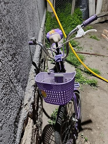 вело коляска: Детский велосипед, 2-колесный, 4 - 6 лет, Для девочки — 1