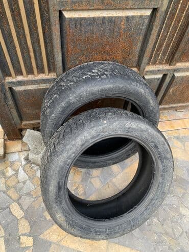б у зимняя резина r13: Шины 235 / 55 / R 19, Зима, Б/у, Пара, Легковые, DUNLOP — 1