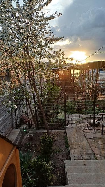 село виноградное: 🏡 🏡 Продаётся уютная дача в селе Таш-Мойнок (Победа) Продаётся — 5