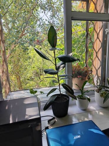 квартира кара балте: 2 комнаты, 45 м², 104 серия, 4 этаж, Евроремонт — 10