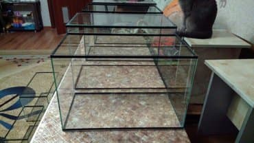 рыба форель в бишкеке: Новый аквариум 40 литров. Также есть другие размеры аквариумов — 1