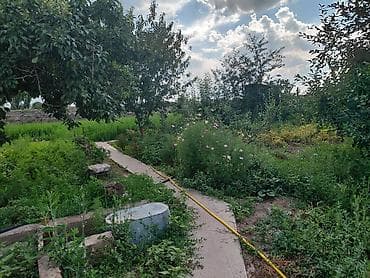 дом м: Продаётся одноэтажный жилой дом с прилегающим двором и оградой. Общий — 9