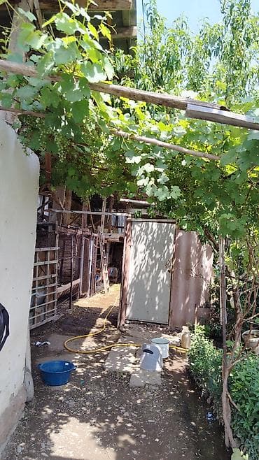 Үйлөр: Кара-балта пачтовый ул фурманова 42а все докумееты есть просим 63000 — 10