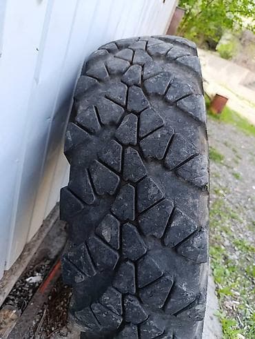 порш 911 турбо с: Шина внедорожная T-REX 325/95R18 (бренд Trelleborg/T-Rex на боковине) — 3