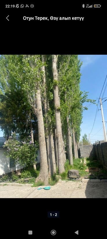 мебель стол стул: Дрова Тополь — 3