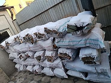 дуб: Дрова Дуб — 1