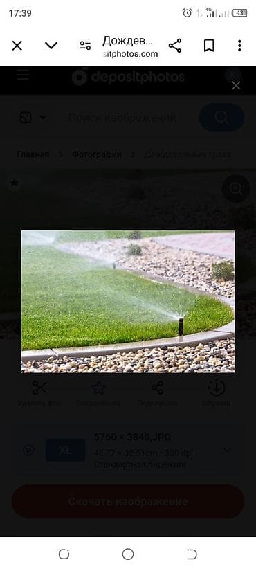 сыр козий: Автоматический полив газона и настройка, капельный полив, обрезка — 5