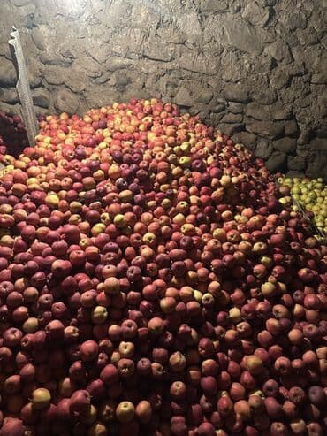 одежды для малышей: Яблоки Оптом — 4