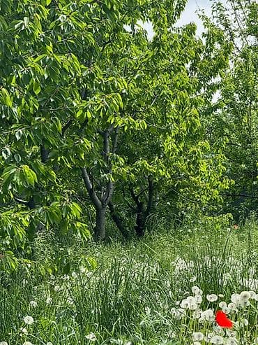 Үйлөрдү сатуу: Продаётся жилой дом с участком 15 соток в село Жал.Участке есть все — 1