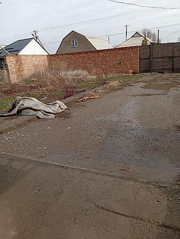 fred perry: 5 соток, Для бизнеса — 1