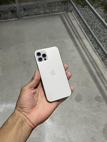apple iphone 12 mini: IPhone 12 Pro, Серебристый — 1