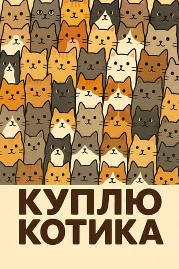 корм для кошек и котят: 🐾 КУПЛЮ КРАСИВОГО И ЛАСКОВОГО КОТЕНКА 🐾 Пол: неважен – мальчик или — 1